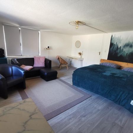 Guenstige, Moderne Zimmer Im Wanderparadies 베르니게로데 외부 사진